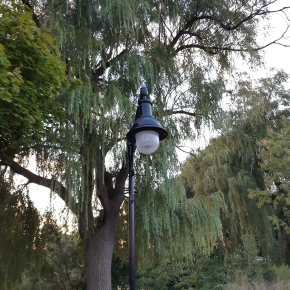 Meet your Posher, Siera - Picture 1 of 1